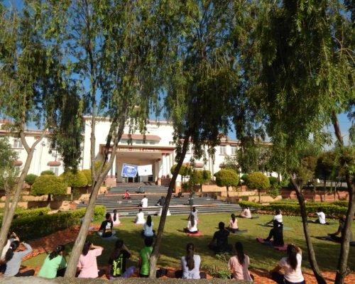 international yoga day